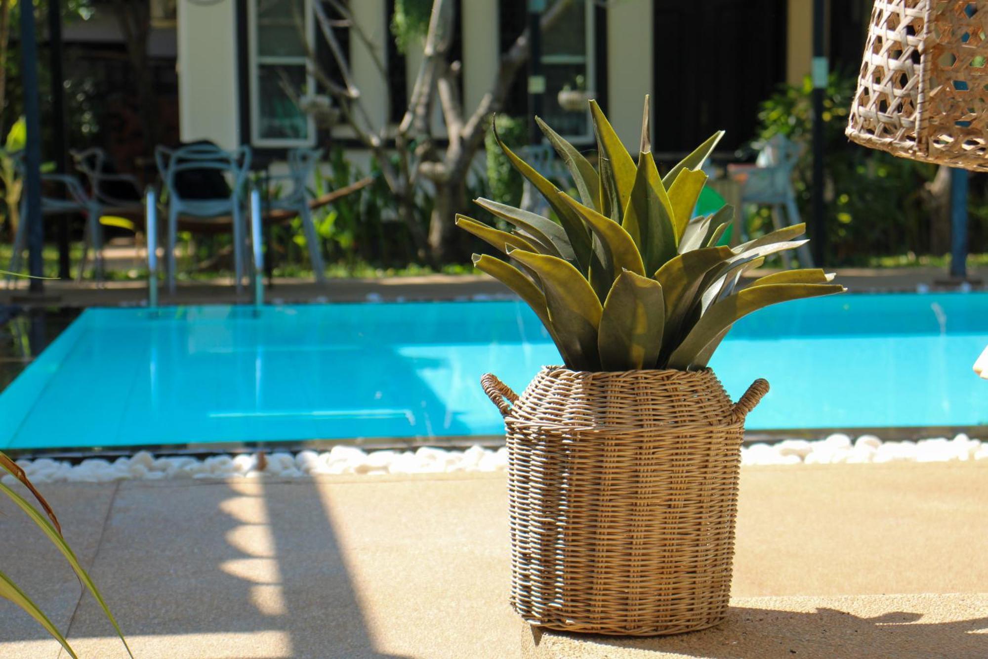 Banana Resort, le petit nid de Caro Siem Reap Extérieur photo