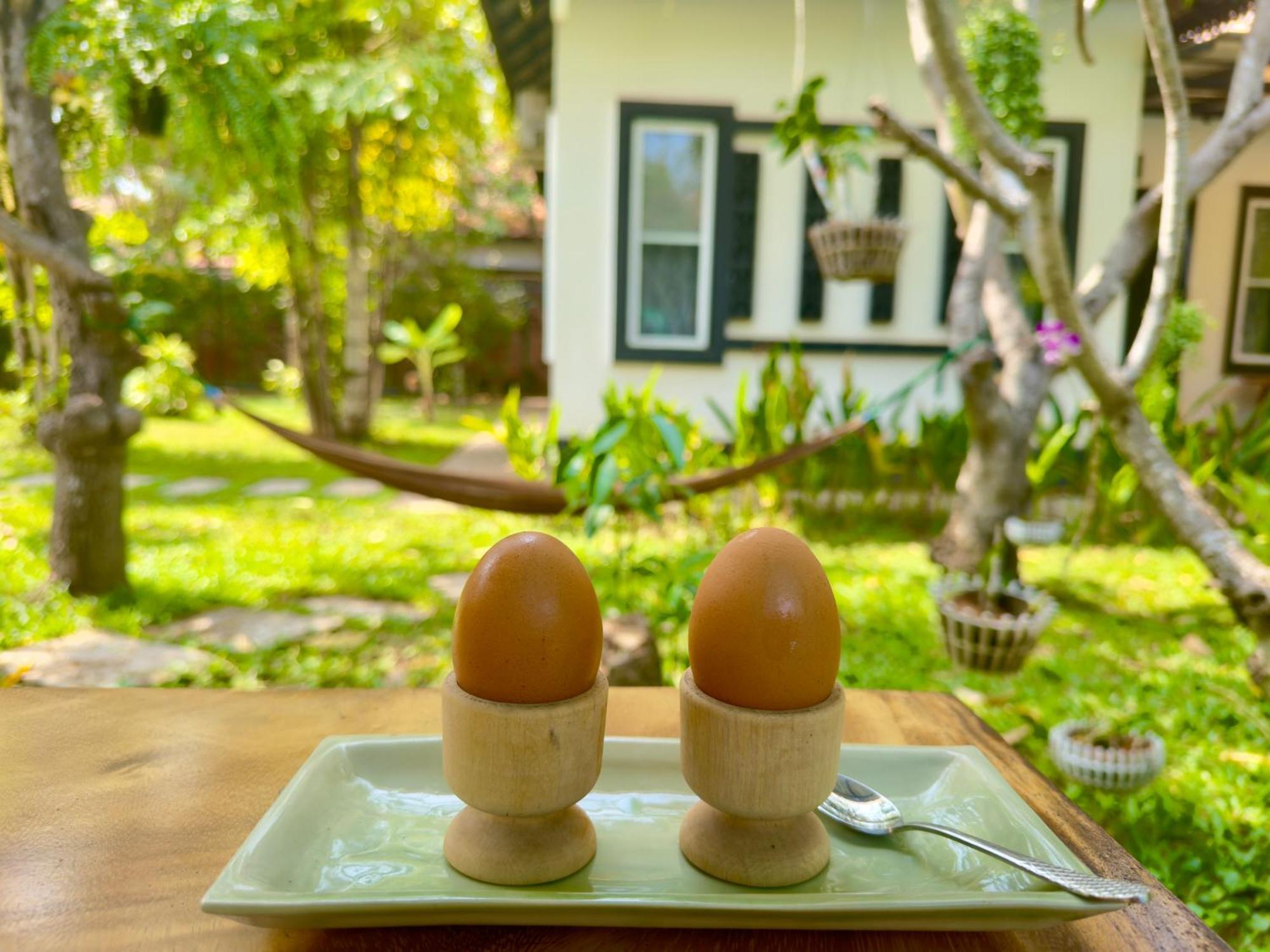 Banana Resort, le petit nid de Caro Siem Reap Extérieur photo